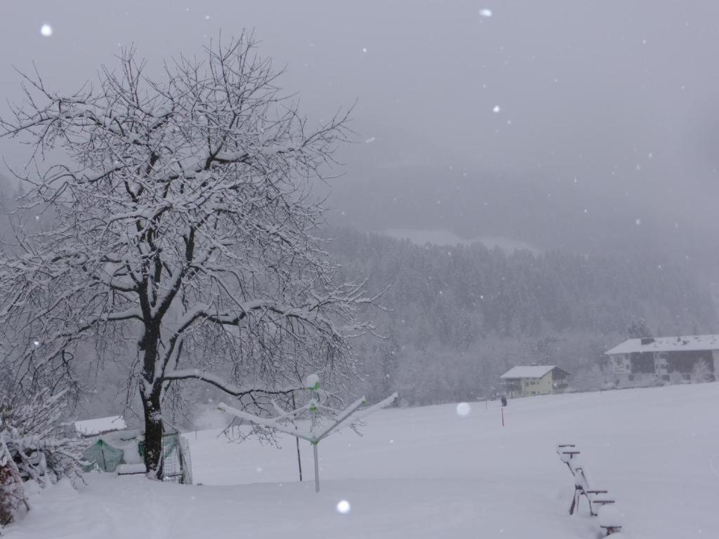 Schwaighof Villa Oberau Bagian luar foto