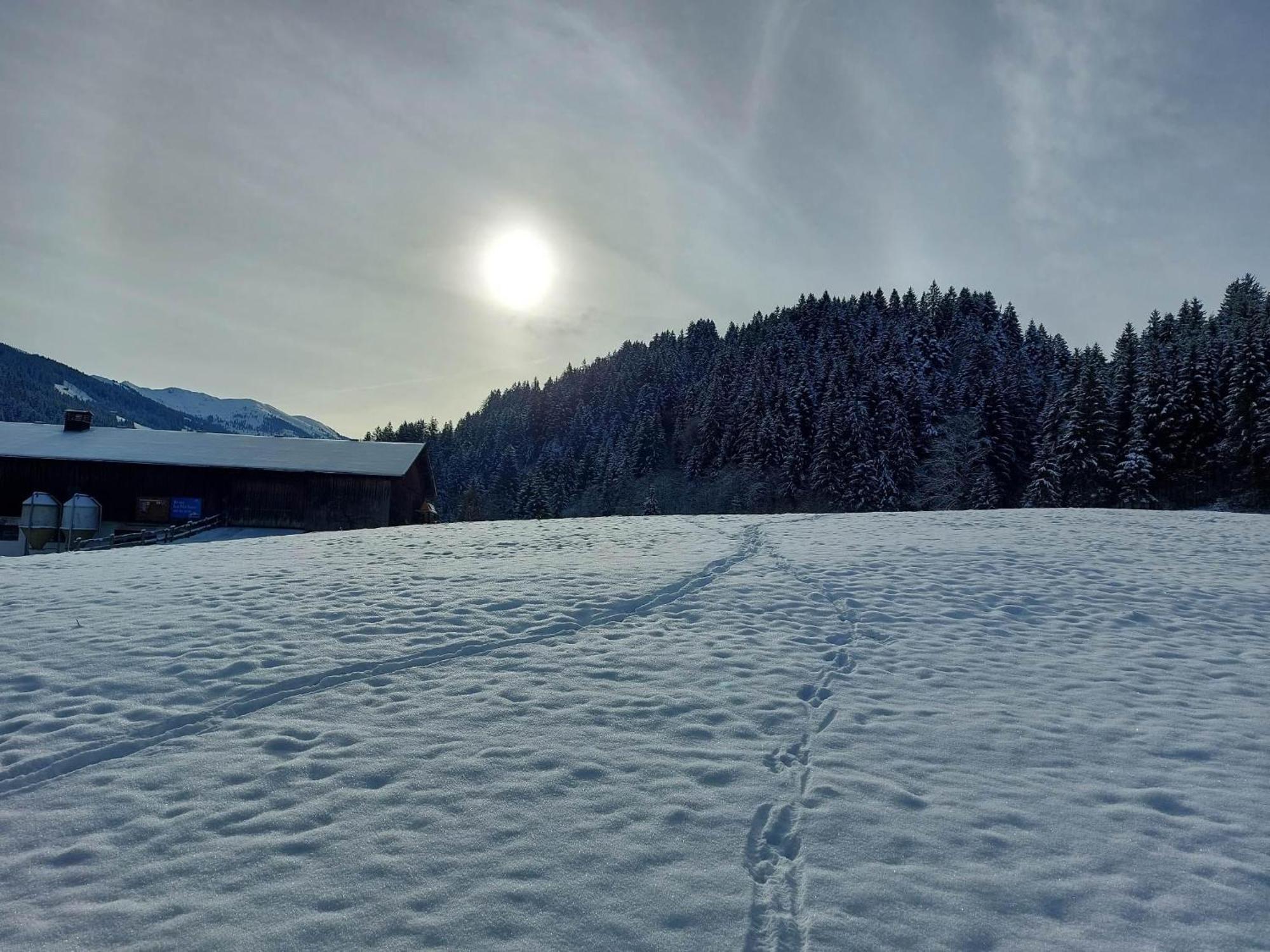 Schwaighof Villa Oberau Bagian luar foto