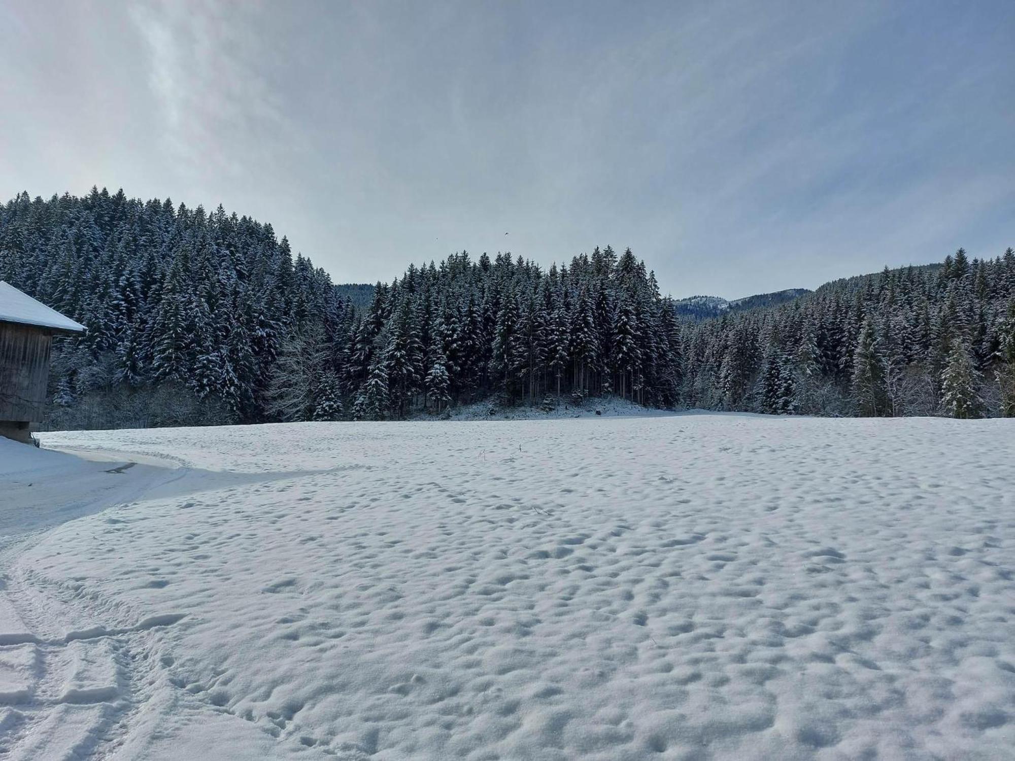 Schwaighof Villa Oberau Bagian luar foto